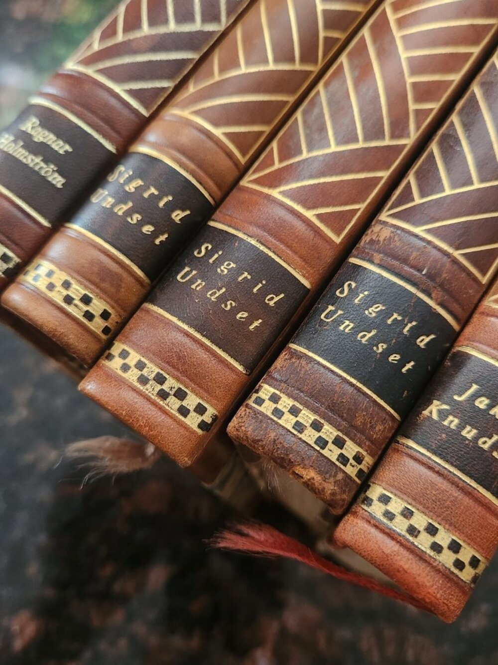 5 Our Homes Nordic Library Set 5 Gold Tooled Leather Bound Books Swedish 1931 32 - Picture 4 of 15